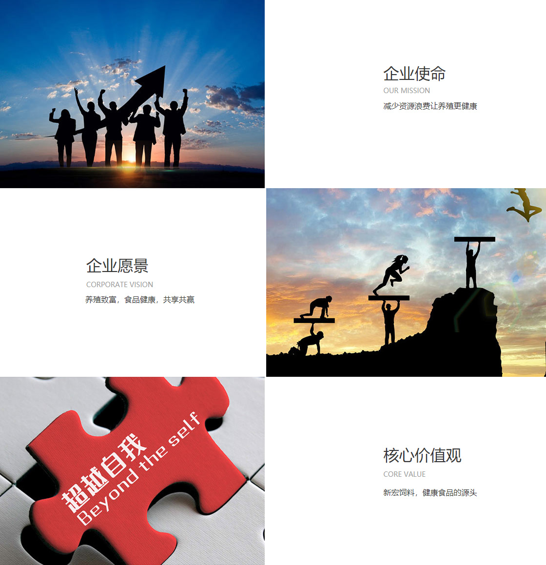 威尼斯888官网(图1)